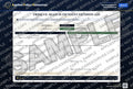 Frisk vs. Search-Incident Decision Aid — watermarked preview