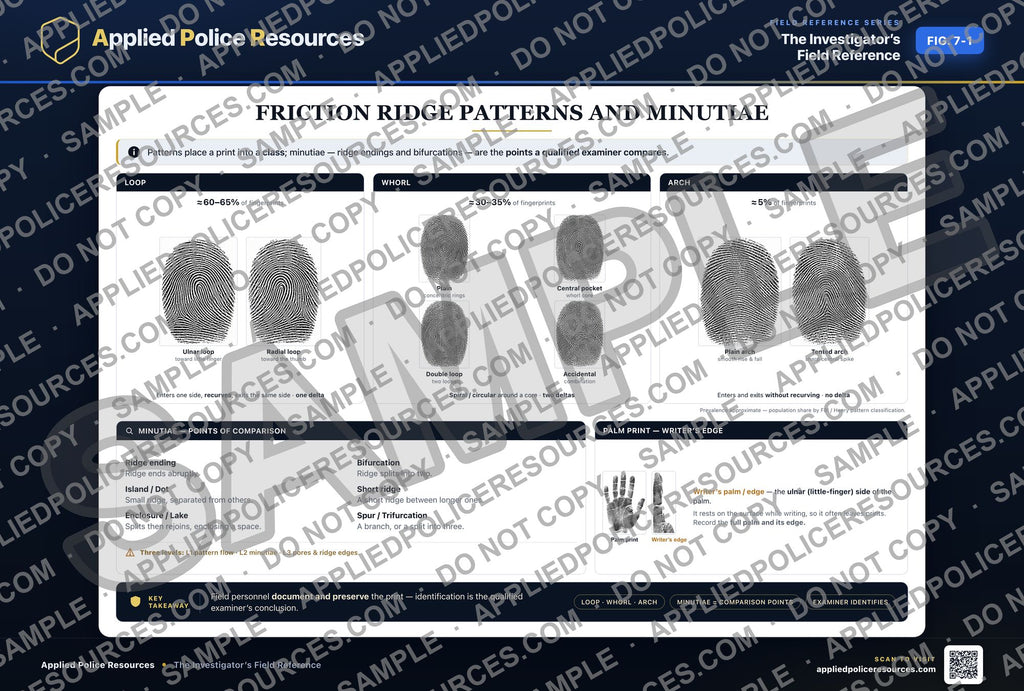 Friction Ridge Patterns and Minutiae — watermarked preview