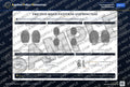 Friction Ridge Patterns and Minutiae — watermarked preview