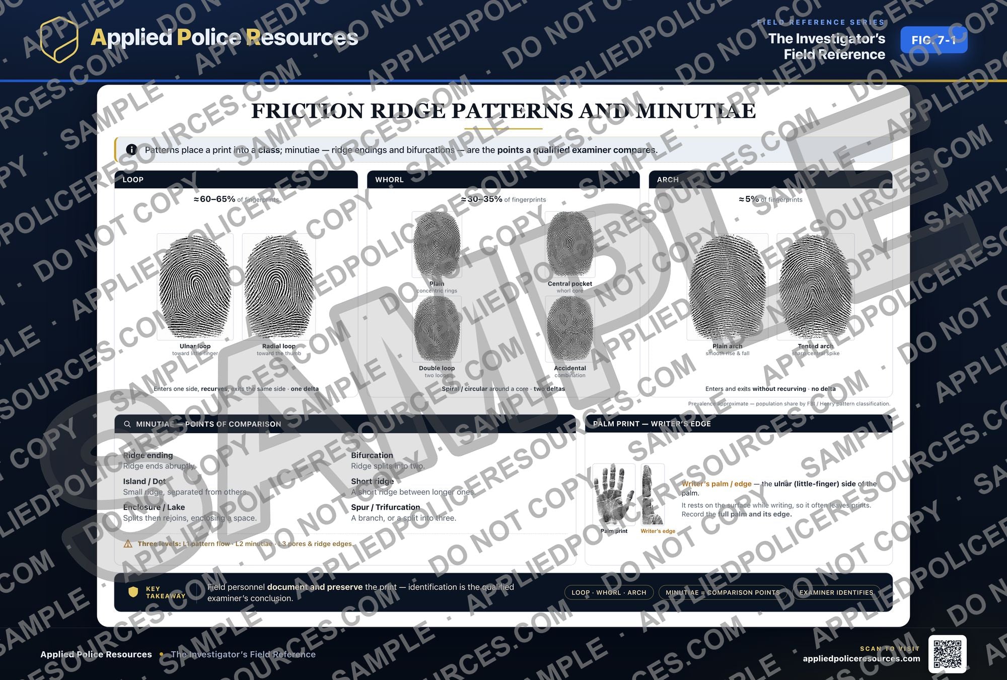 Friction Ridge Patterns and Minutiae — watermarked preview