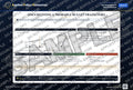 Documenting a Probable Bullet Trajectory — watermarked preview