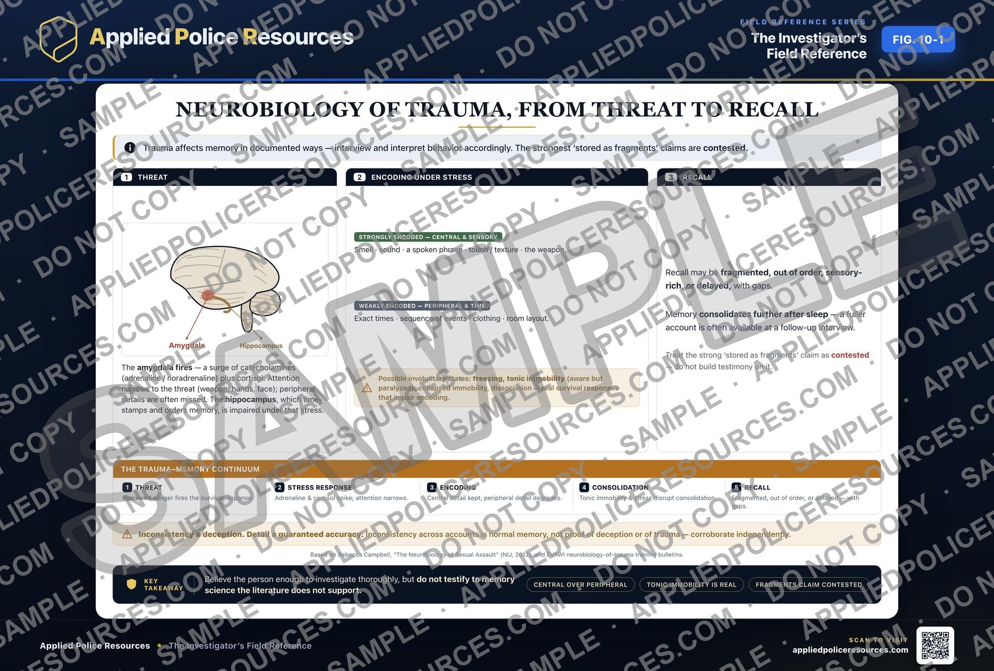 Neurobiology of Trauma From Threat to Recall — watermarked preview