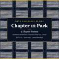 Chapter 12 Poster Pack — Eyewitness Identification, Composites, Show-Ups, Lineups (Field Reference Series)
