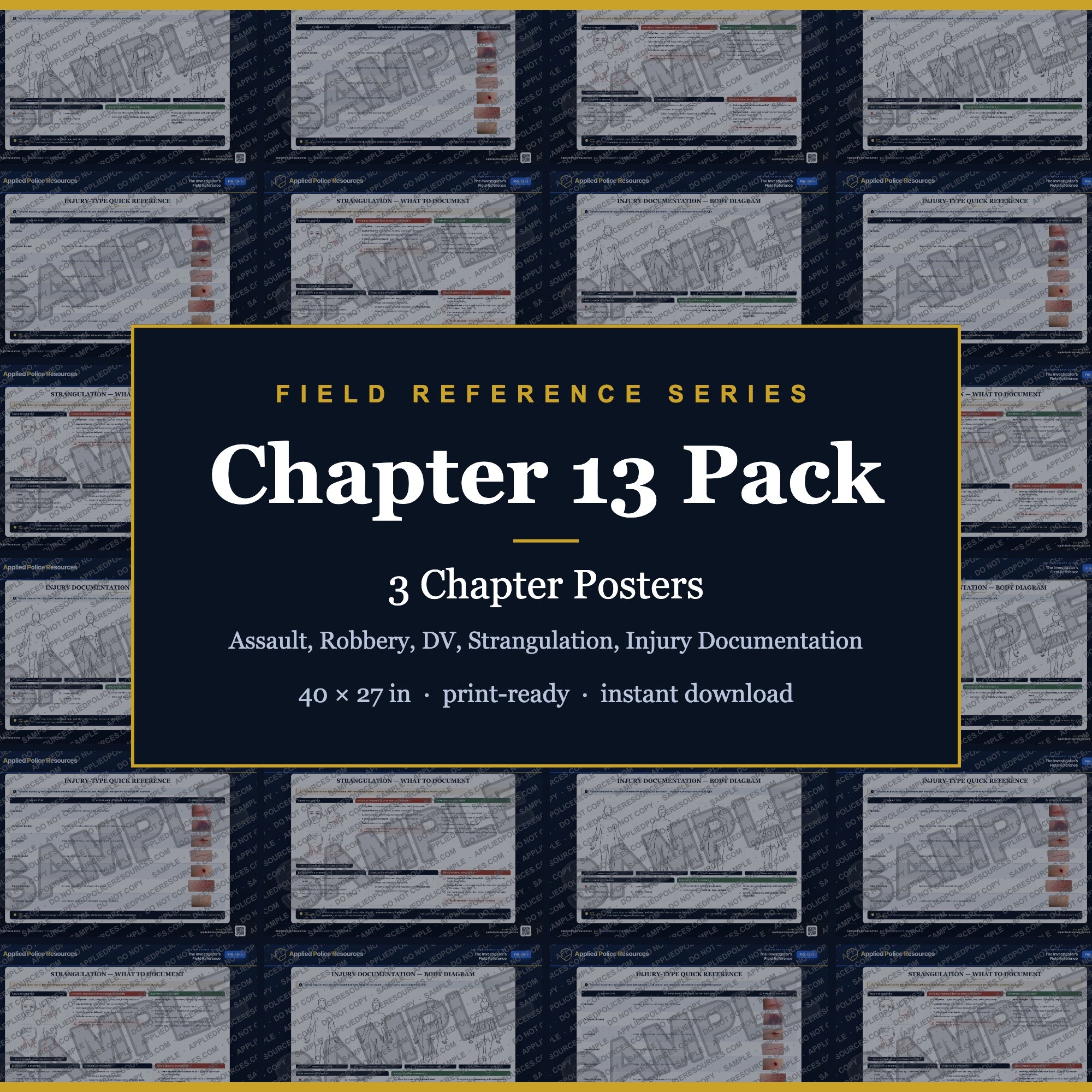 Chapter 13 Poster Pack — Assault, Robbery, DV, Strangulation, Injury Documentation (Field Reference Series, Agency License)